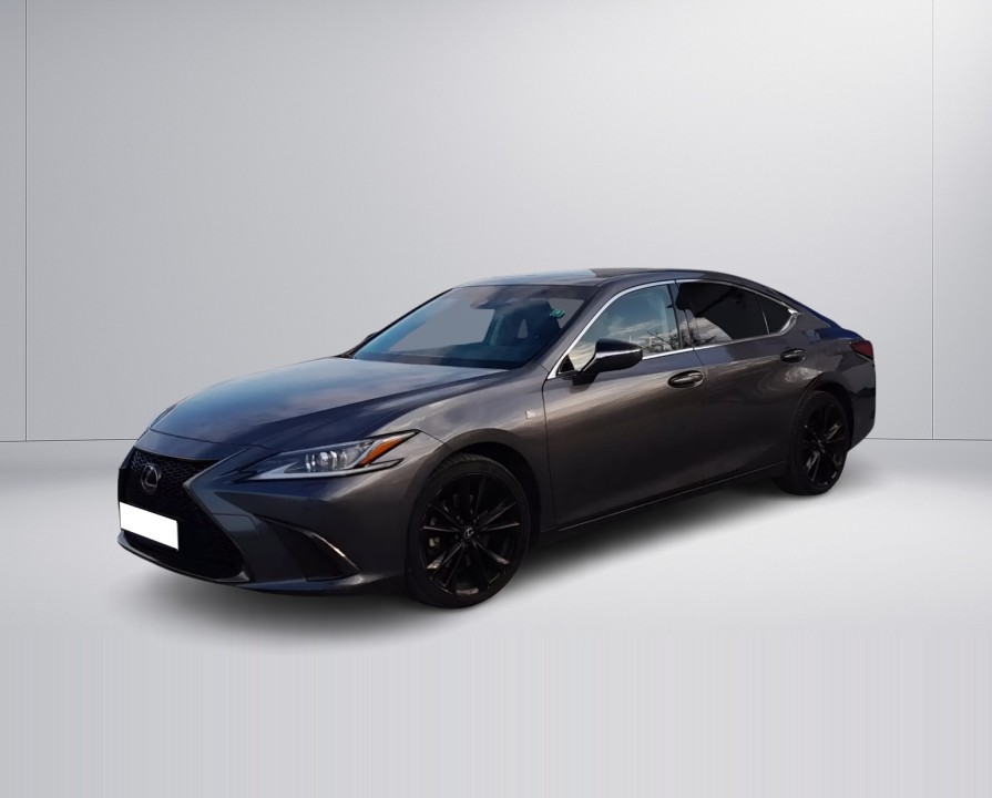 Lexus Seria ES 300h