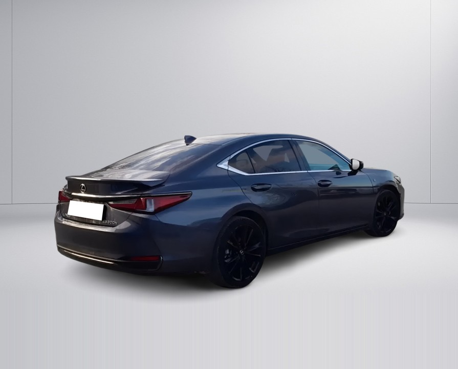 Lexus Seria ES 300h (4)