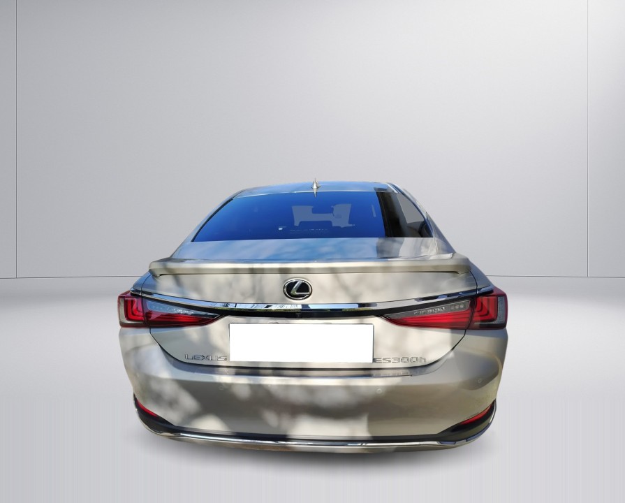 Lexus Seria ES 300h Business Line (3)