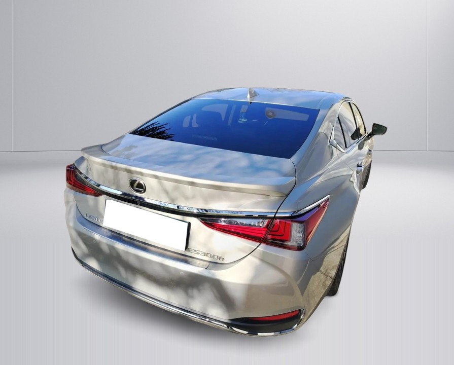 Lexus Seria ES 300h Business Line (2)