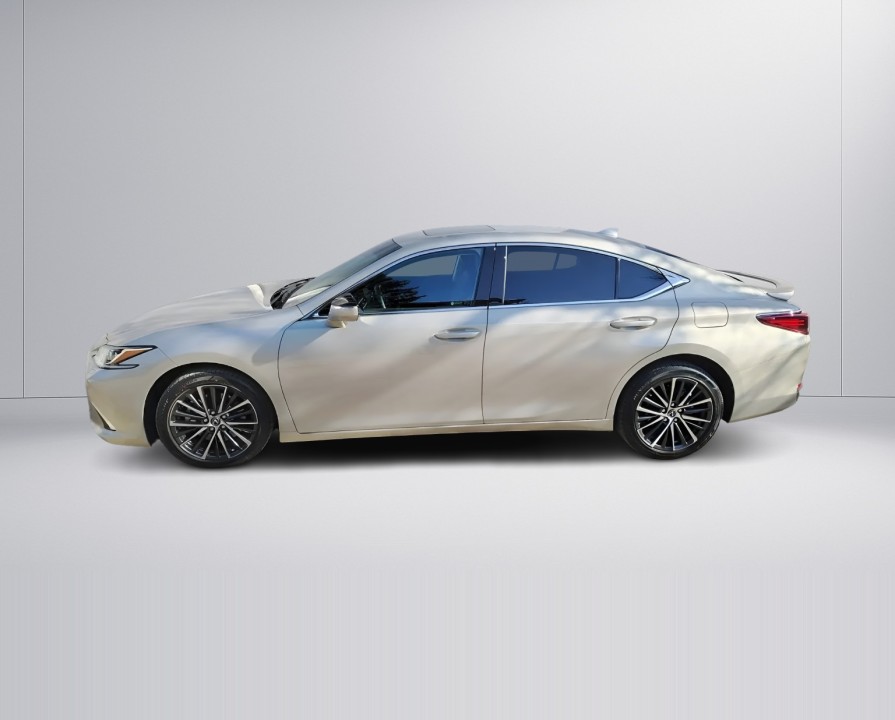 Lexus Seria ES 300h Business Line (5)