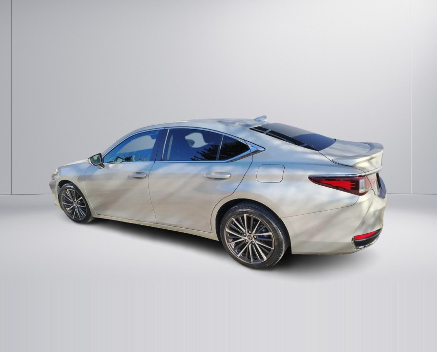 Lexus Seria ES 300h Business Line (4)