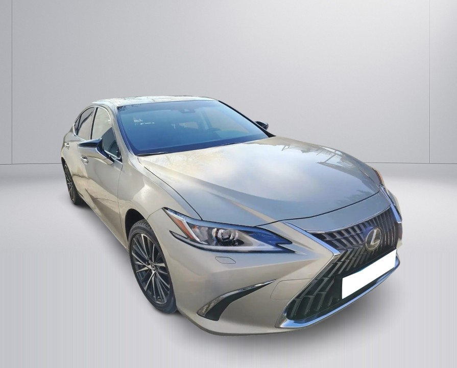 Lexus Seria ES 300h Business Line