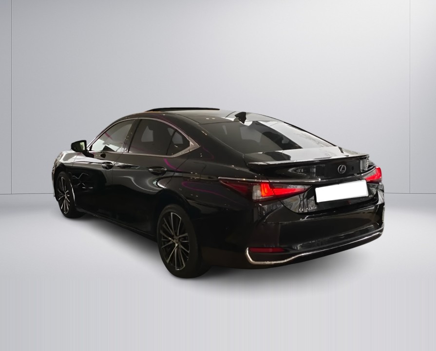 Lexus Seria ES 300h Business Line (5)