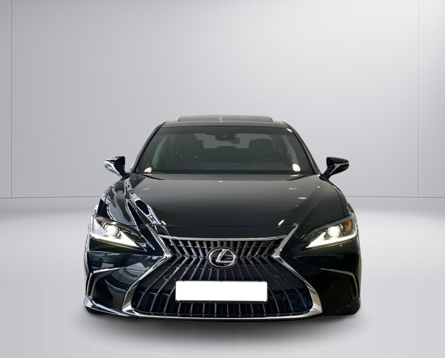 Lexus Seria ES 300h Business Line (2)