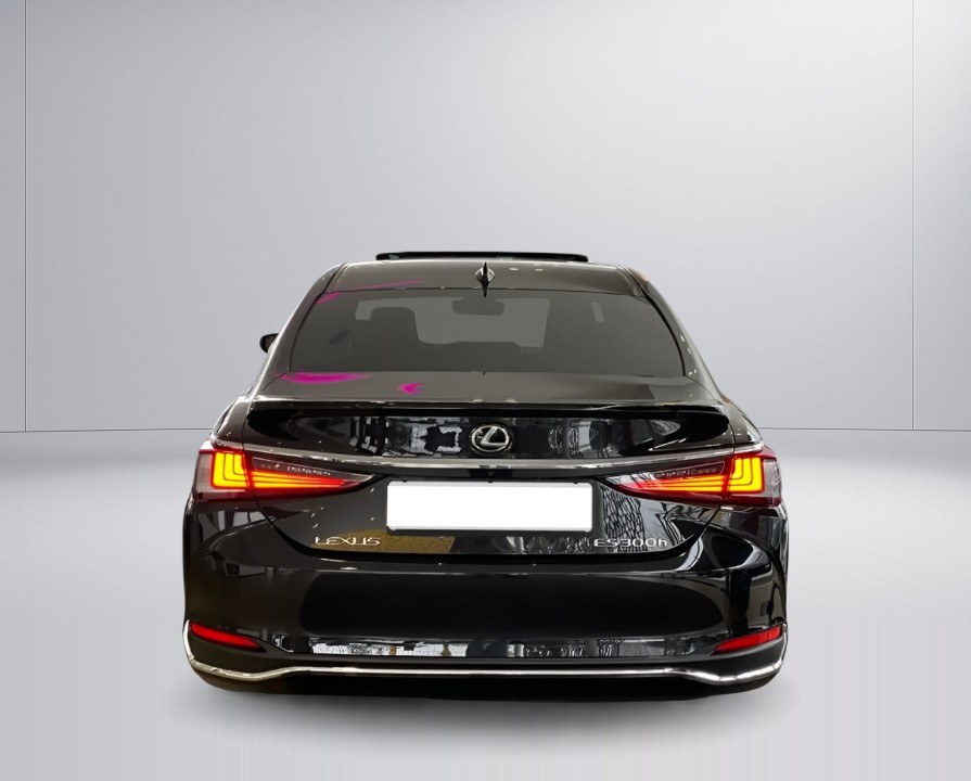 Lexus Seria ES 300h Business Line (4)