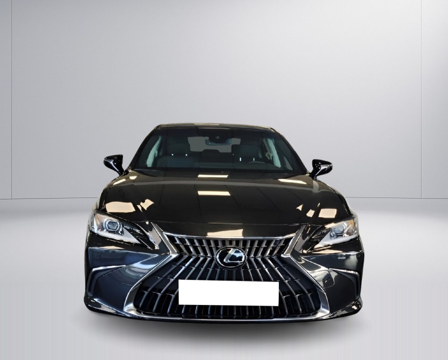 Lexus Seria ES 300h Business - foto 8