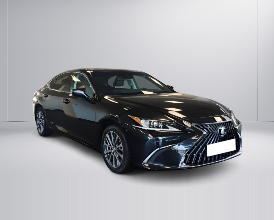Lexus Seria ES 300h Business