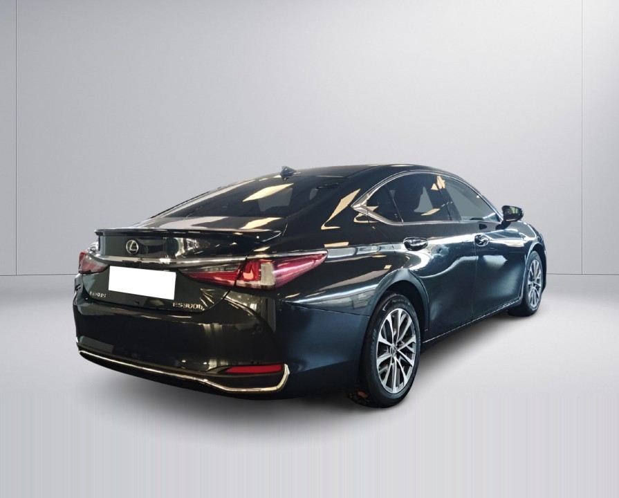 Lexus Seria ES 300h Business (3)