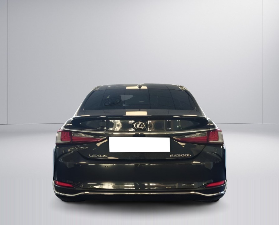 Lexus Seria ES 300h Business (4)