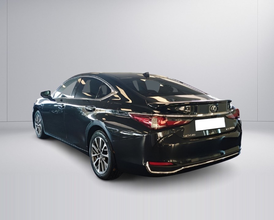 Lexus Seria ES 300h Business (5)