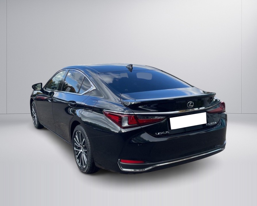 Lexus Seria ES 300h Business Line (5)