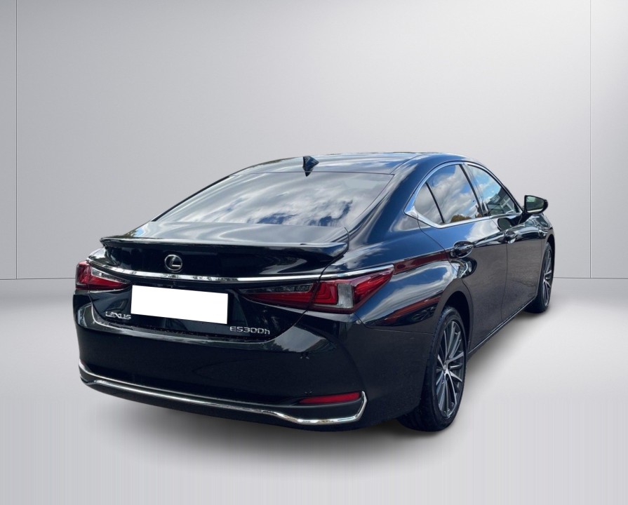 Lexus Seria ES 300h Business Line (3)
