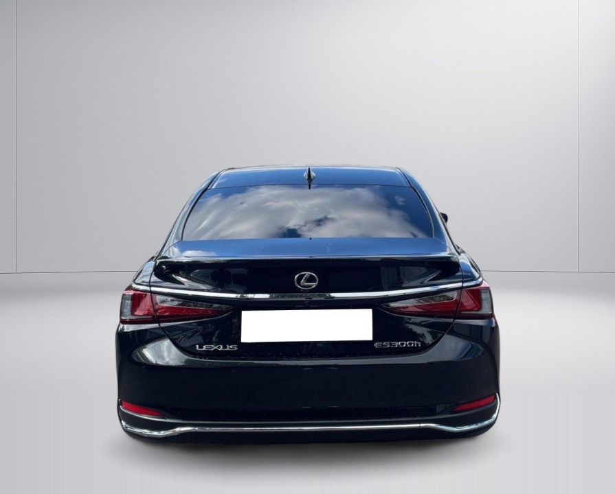 Lexus Seria ES 300h Business Line (4)