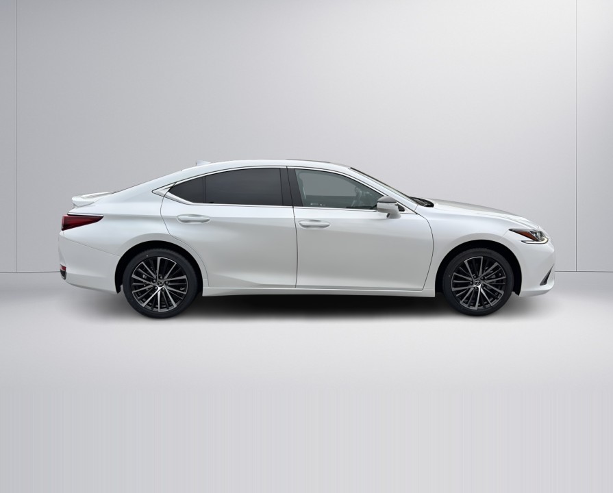 Lexus Seria ES 300h Business Line (2)