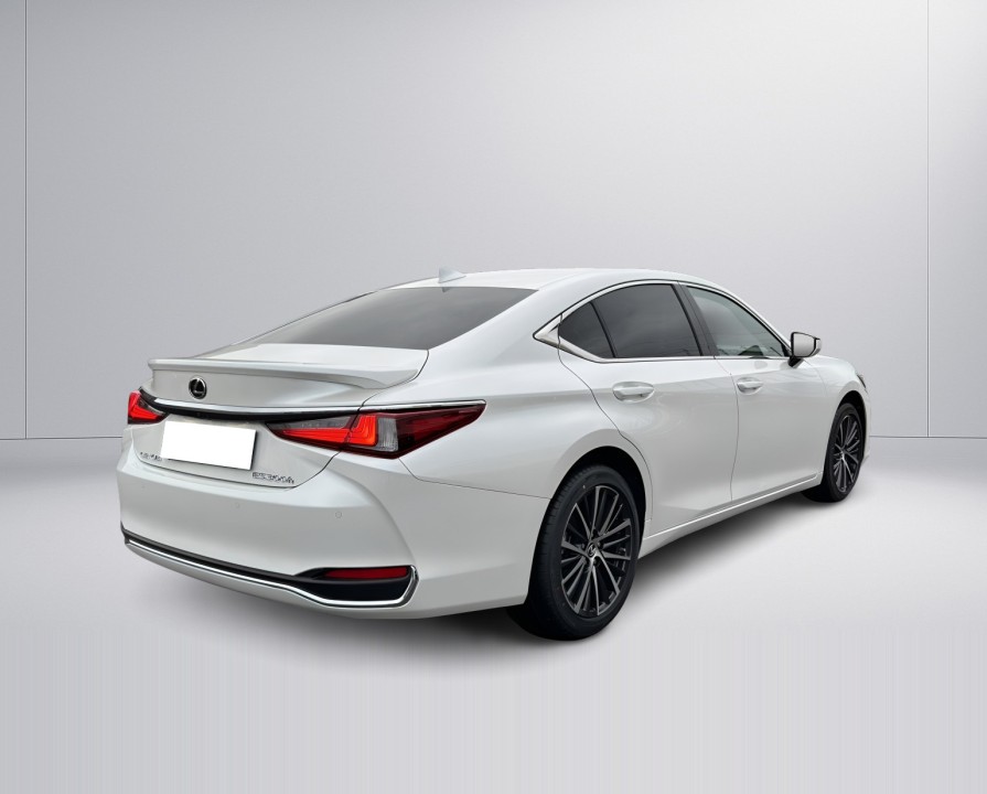 Lexus Seria ES 300h Business Line (3)