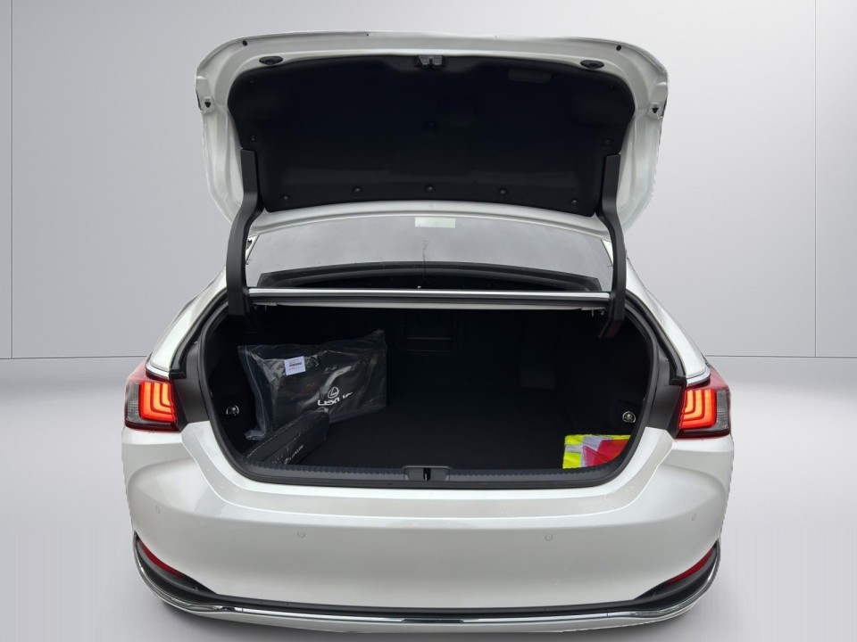 Lexus Seria ES 300h Business Line - foto 18