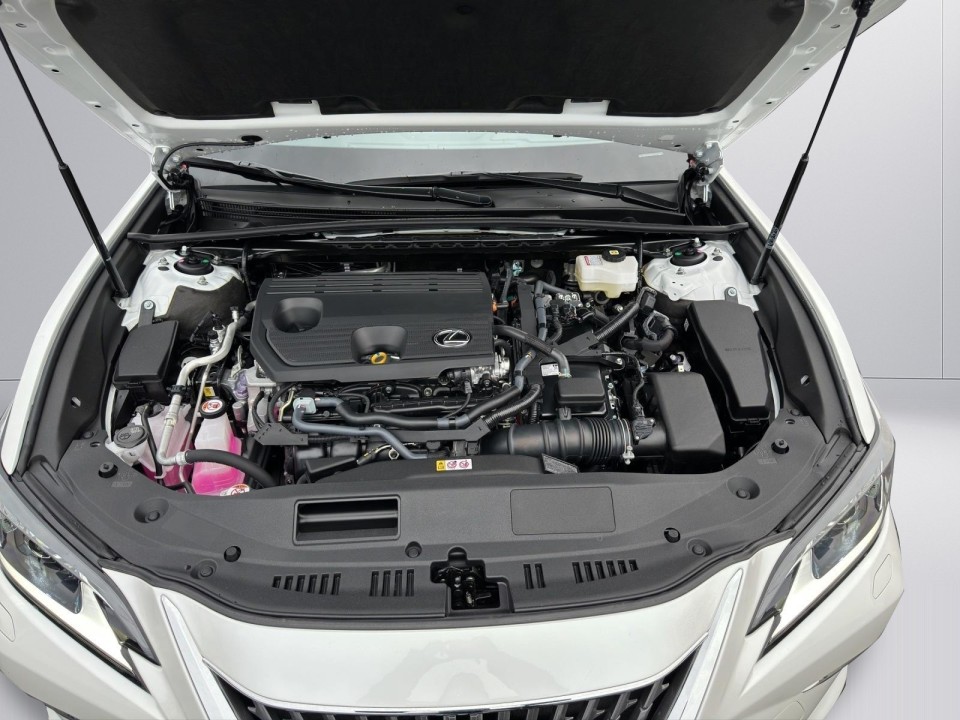 Lexus Seria ES 300h Business Line - foto 17