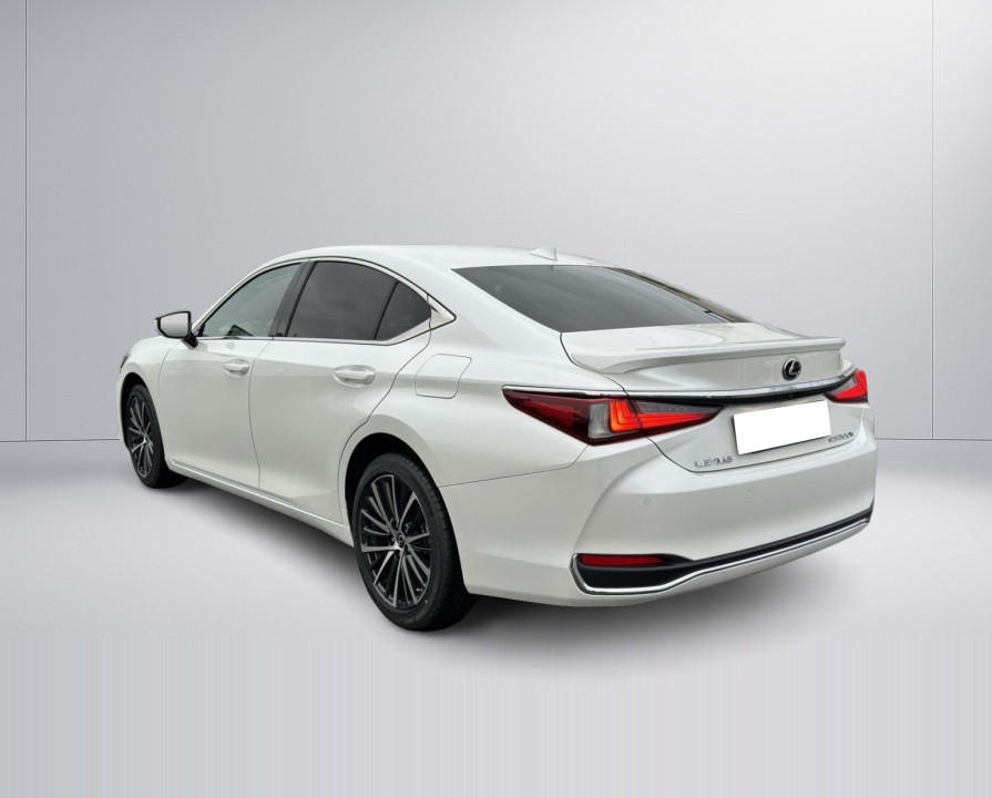 Lexus Seria ES 300h Business Line (5)