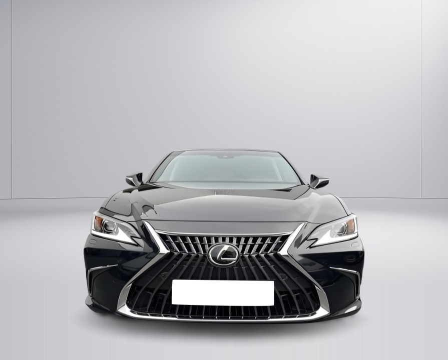 Lexus Seria ES 300h Business Line - foto 8