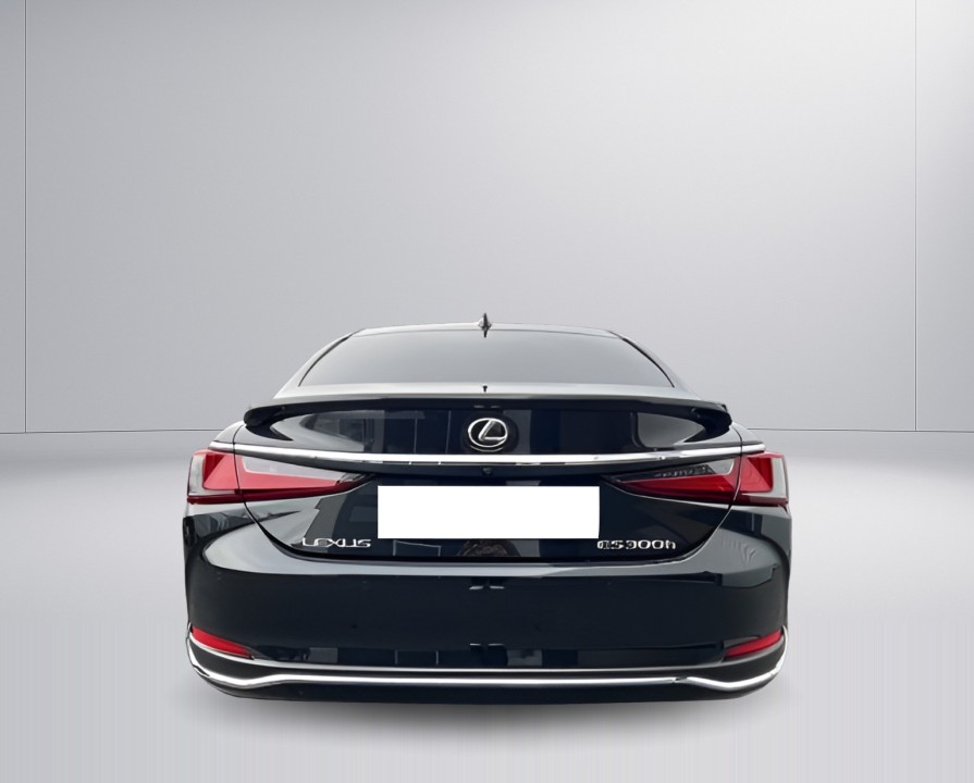 Lexus Seria ES 300h Business Line (4)