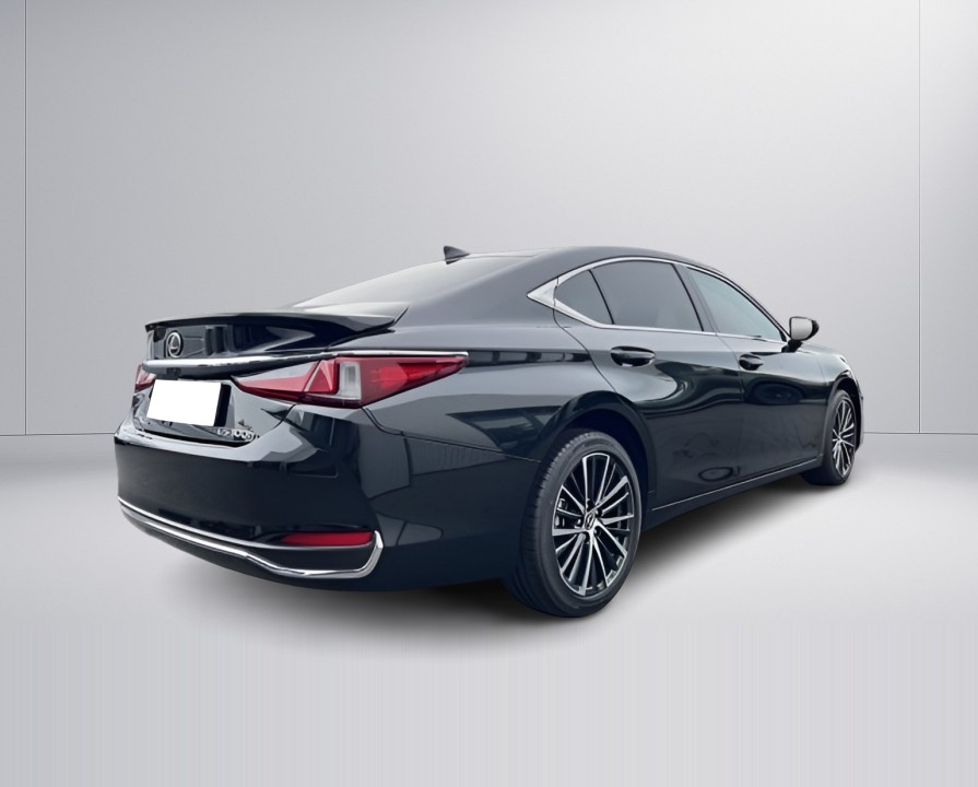 Lexus Seria ES 300h Business Line (3)