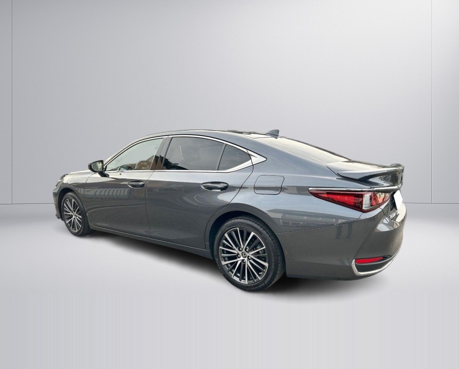 Lexus Seria ES 300h Style Edition - foto 11
