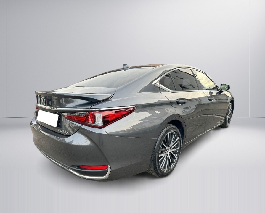 Lexus Seria ES 300h Style Edition - foto 6