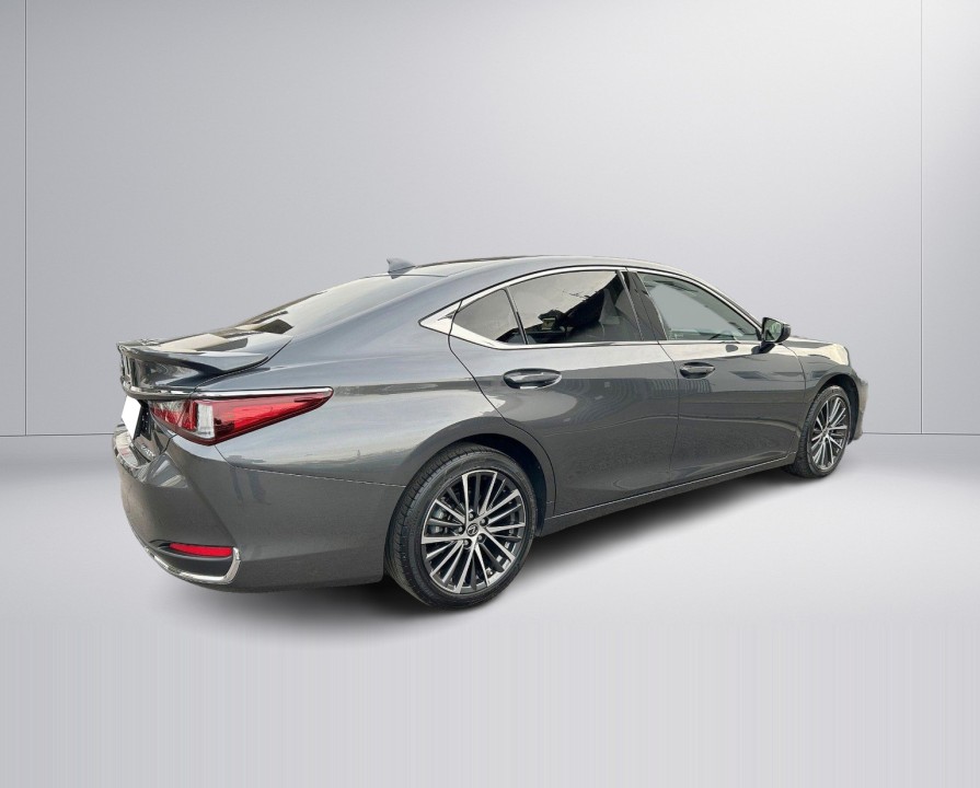 Lexus Seria ES 300h Style Edition (5)