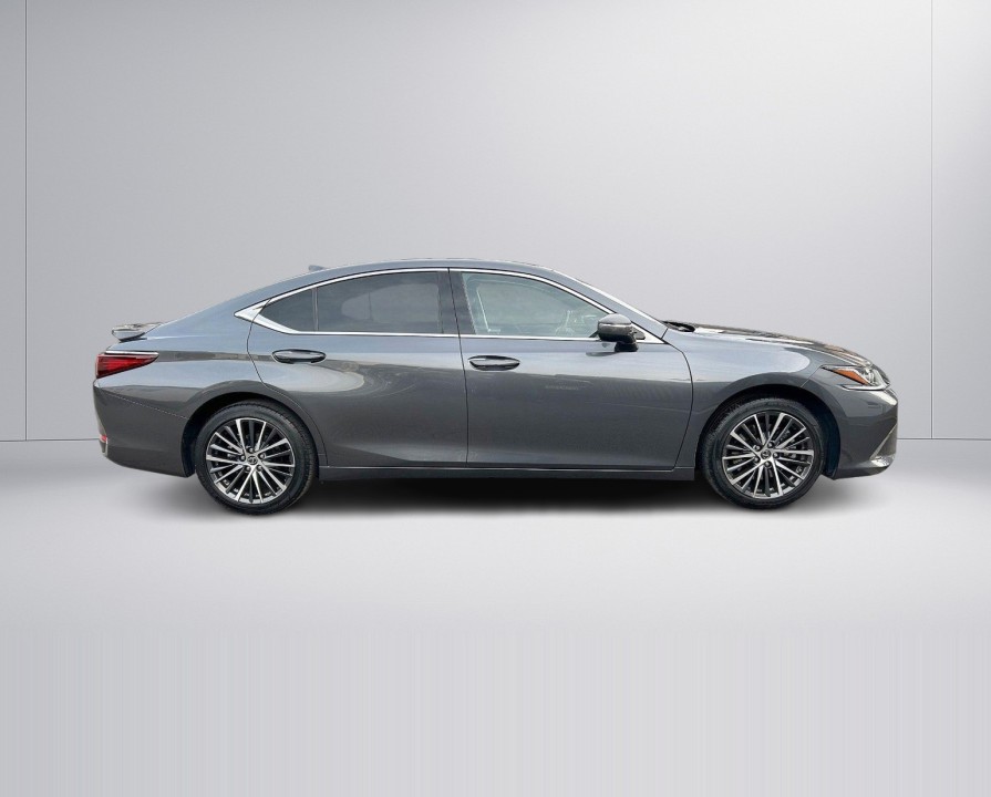 Lexus Seria ES 300h Style Edition (4)