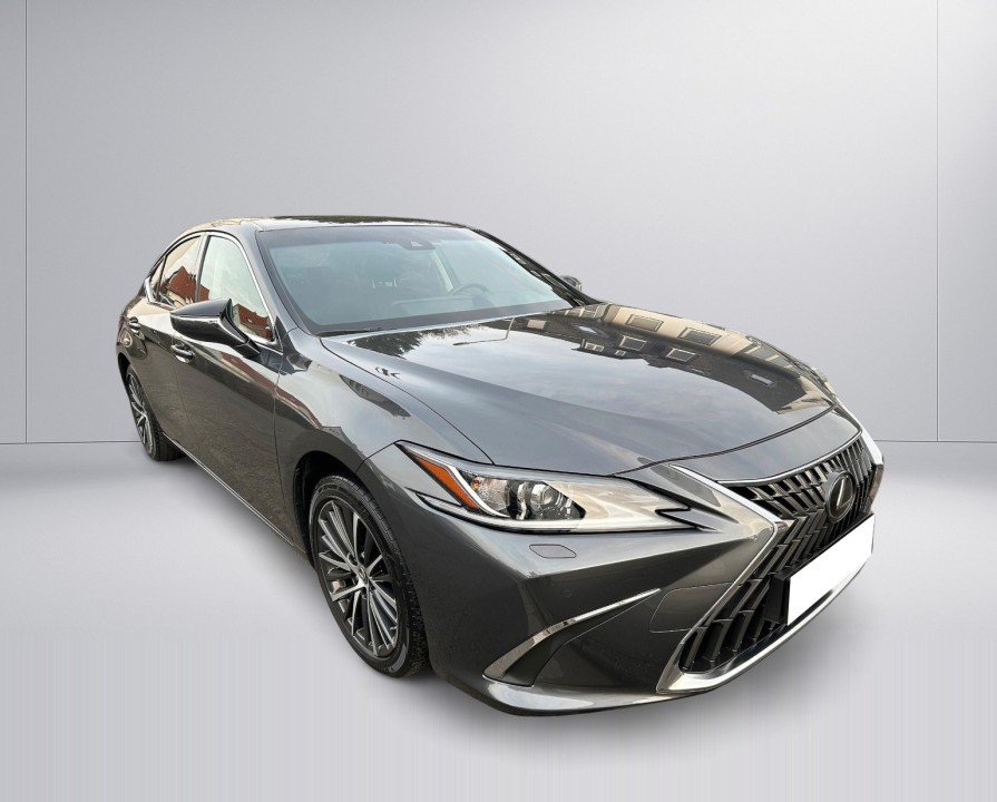 Lexus Seria ES 300h Style Edition (2)
