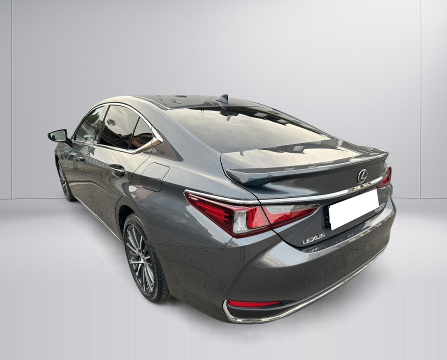 Lexus Seria ES 300h Style Edition - foto 9