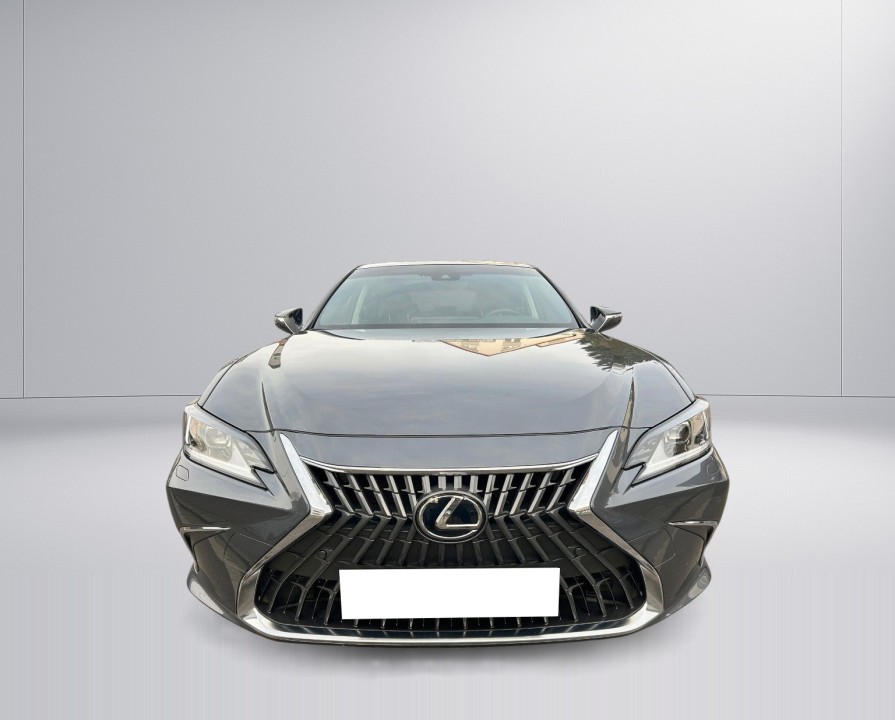 Lexus Seria ES 300h Style Edition - foto 15