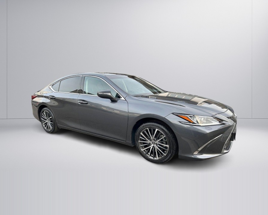 Lexus Seria ES 300h Style Edition (3)