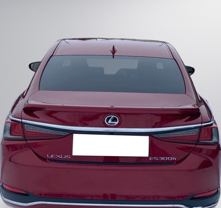 Lexus Seria ES 300h Business Line (4)