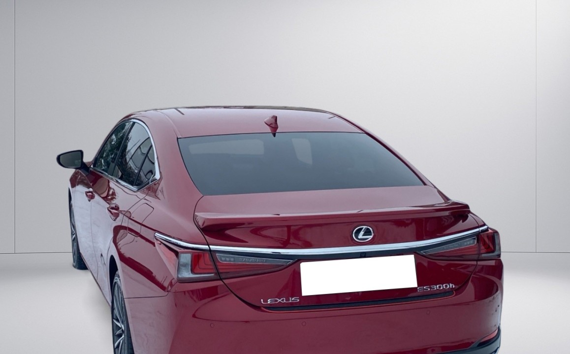 Lexus Seria ES 300h Business Line (5)