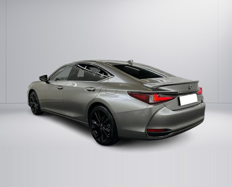Lexus Seria ES 300h F-Sport (5)