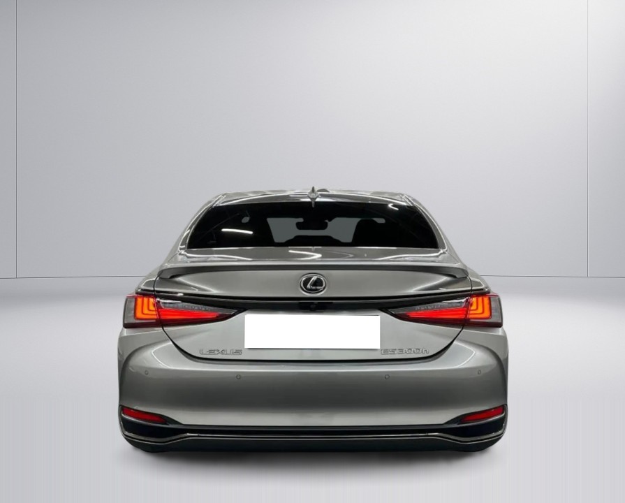 Lexus Seria ES 300h F-Sport (4)