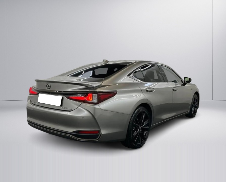 Lexus Seria ES 300h F-Sport (3)
