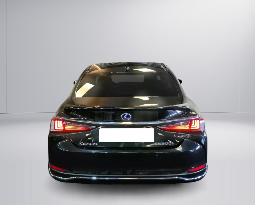 Lexus Seria ES 300h Business Line (3)