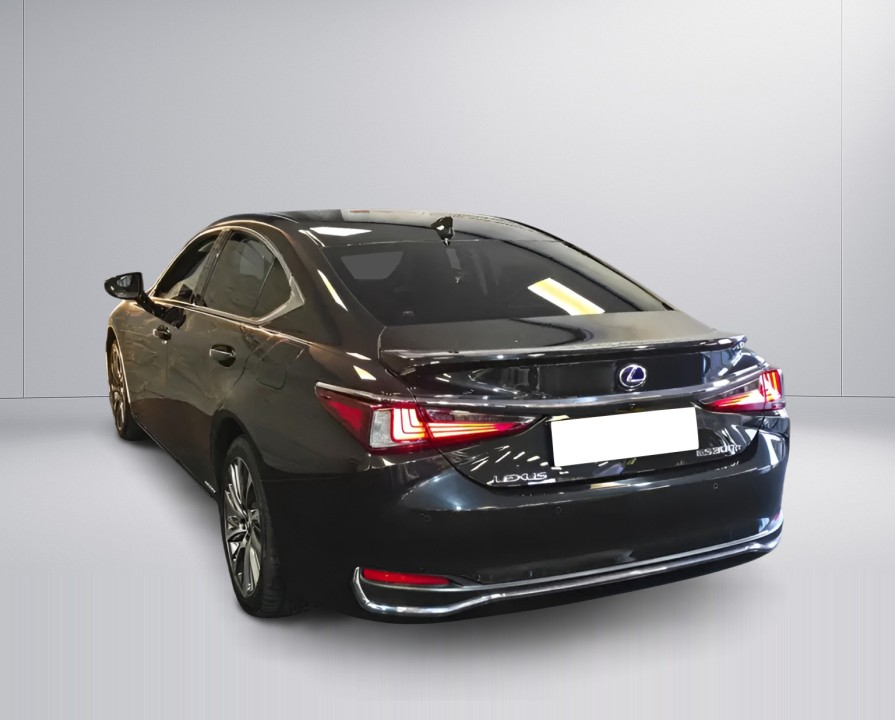 Lexus Seria ES 300h Business Line (4)
