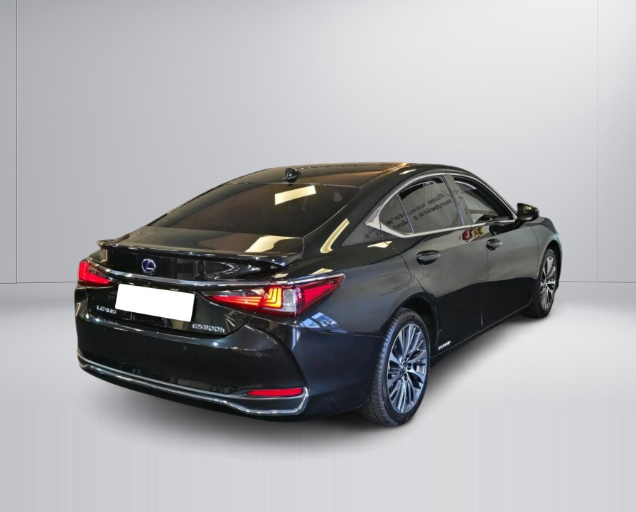 Lexus Seria ES 300h Business Line (2)