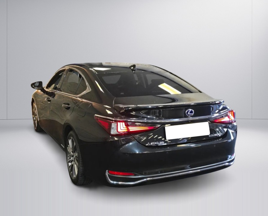 Lexus Seria ES 300h Business Line (5)