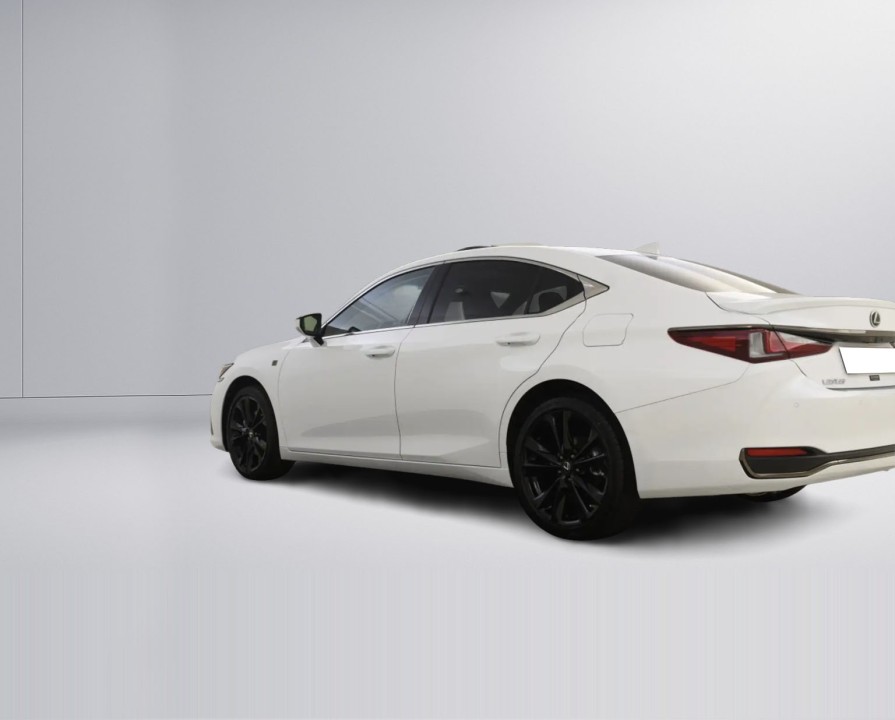 Lexus Seria ES 300h F-Sport (4)