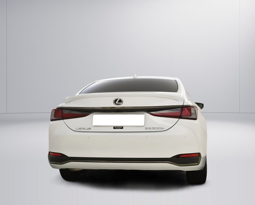 Lexus Seria ES 300h F-Sport (3)