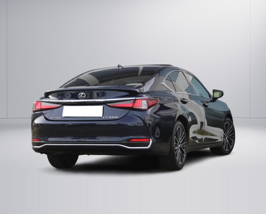 Lexus Seria ES Lexus ES 300h Luxury Line (3)
