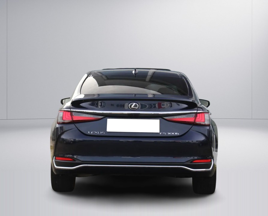 Lexus Seria ES Lexus ES 300h Luxury Line (4)