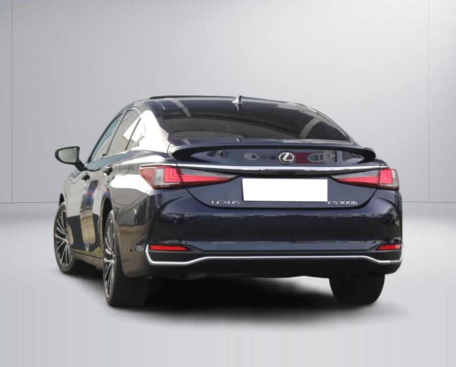 Lexus Seria ES Lexus ES 300h Luxury Line (5)