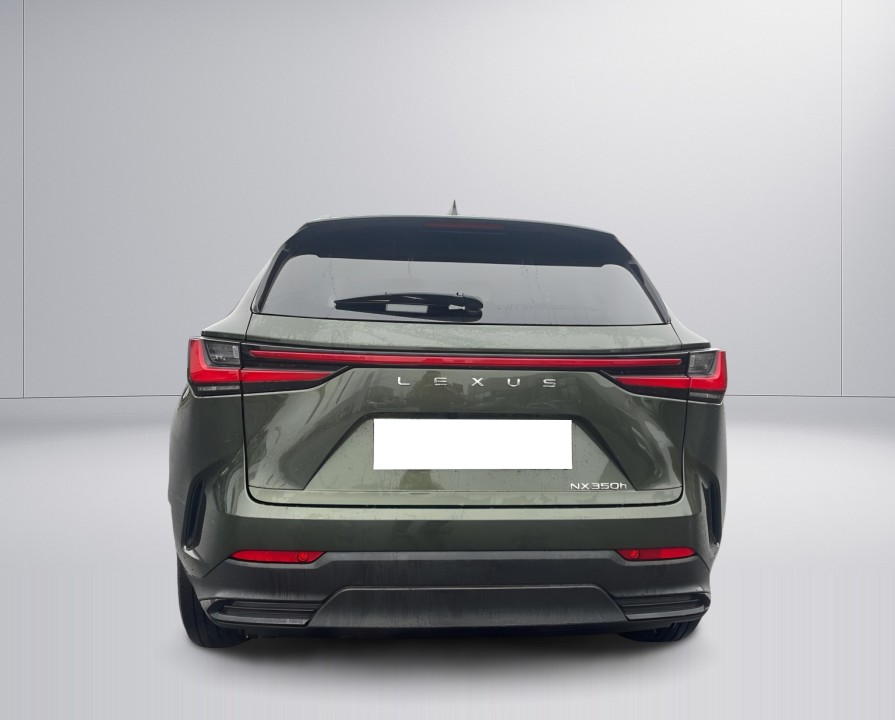 Lexus Seria NX 350h Executive Line (4)