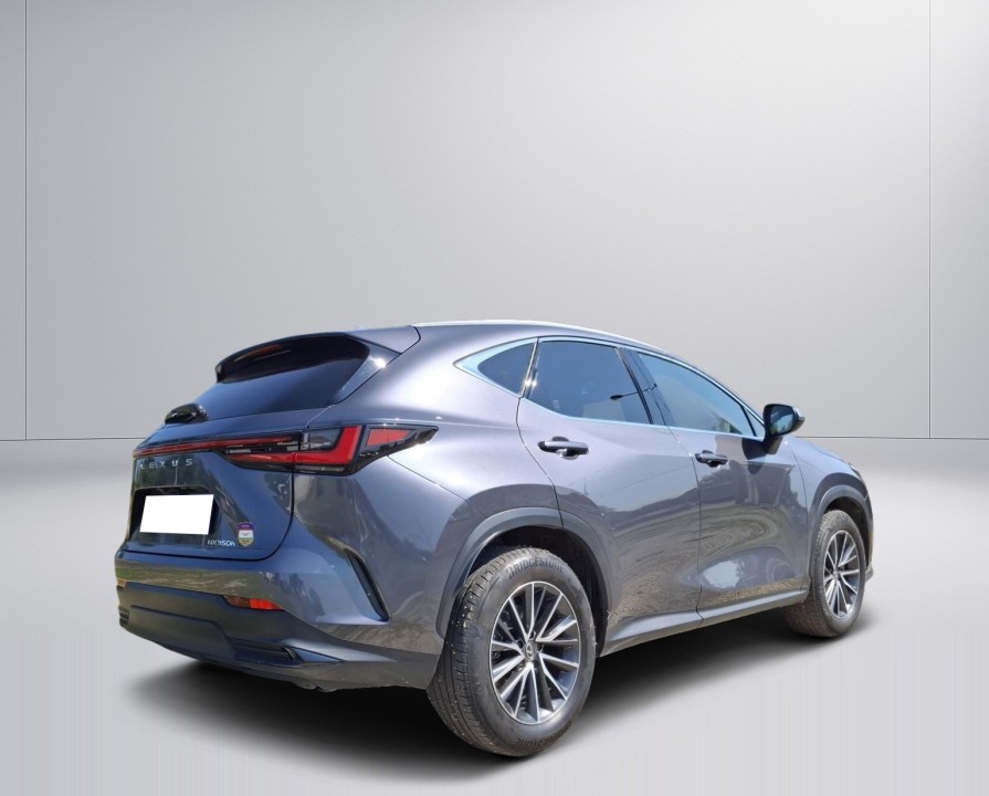 Lexus Seria NX 350h AWD Prestige (2)